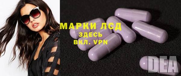 стаф Дмитровск