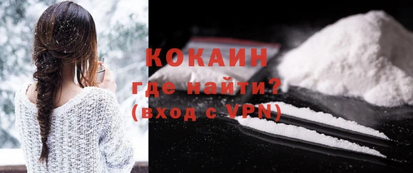 соль ск Дмитриев
