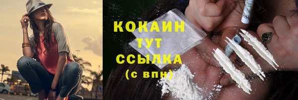 соль ск Дмитриев