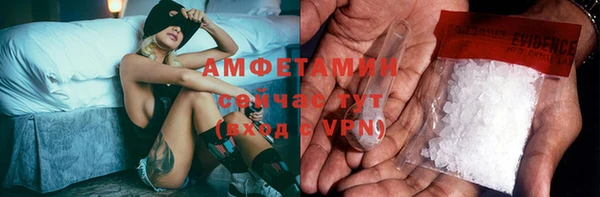 стаф Дмитровск