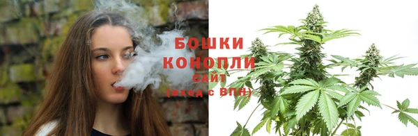соль ск Дмитриев