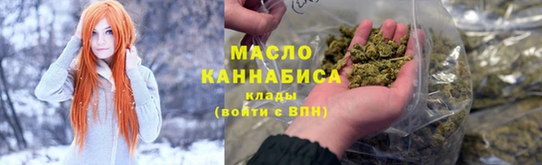 соль ск Дмитриев