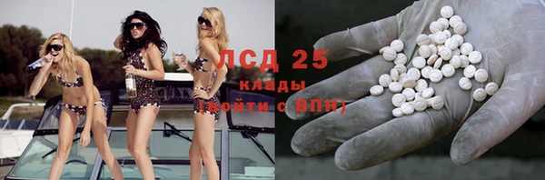 стаф Дмитровск