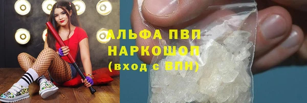 соль ск Дмитриев