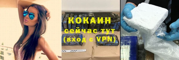 соль ск Дмитриев