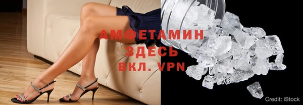 соль ск Дмитриев