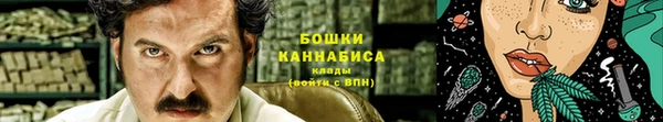 соль ск Дмитриев