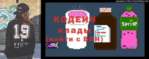 стаф Дмитровск