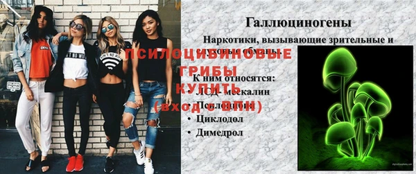 соль ск Дмитриев