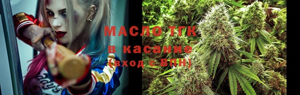 соль ск Дмитриев