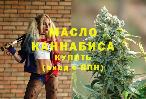 соль ск Дмитриев