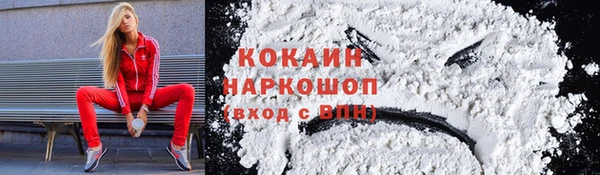 стаф Дмитровск