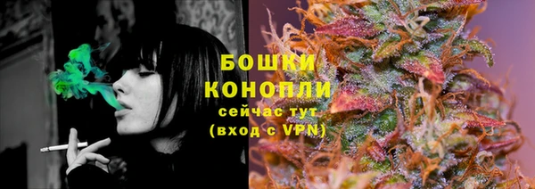 стаф Дмитровск