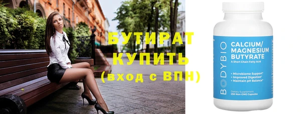 соль ск Дмитриев